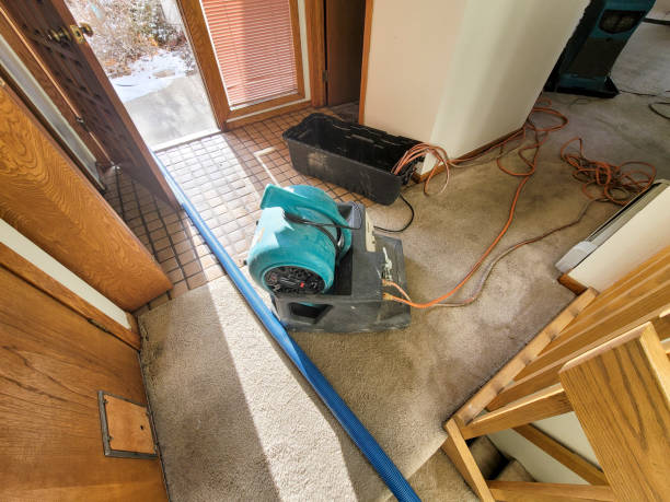 Best Fire Damage Restoration  in Lumberton, TX