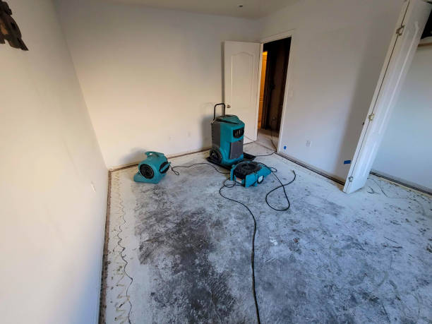 Best Basement water damage restoration  in Lumberton, TX