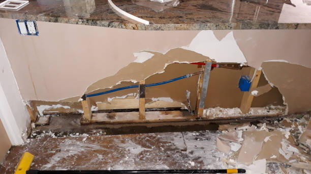 Best Water damage repair service  in Lumberton, TX