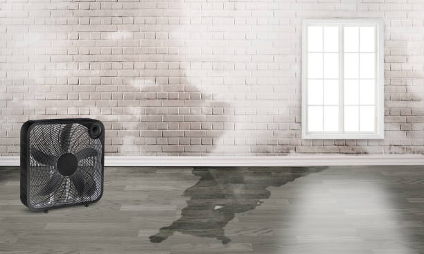 Best Emergency water damage restoration  in Lumberton, TX