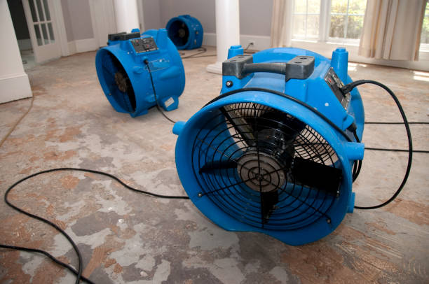 Best Ceiling water damage repair  in Lumberton, TX