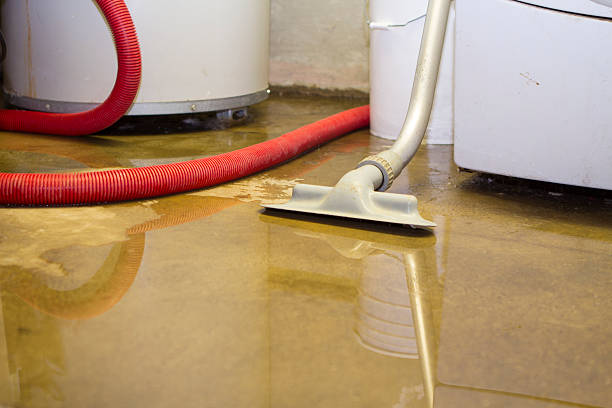 Best 24-hour water damage restoration  in Lumberton, TX