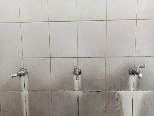 Best Water damage restoration near me  in Lumberton, TX