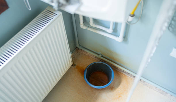 Best Water damage restoration mold remediation  in Lumberton, TX