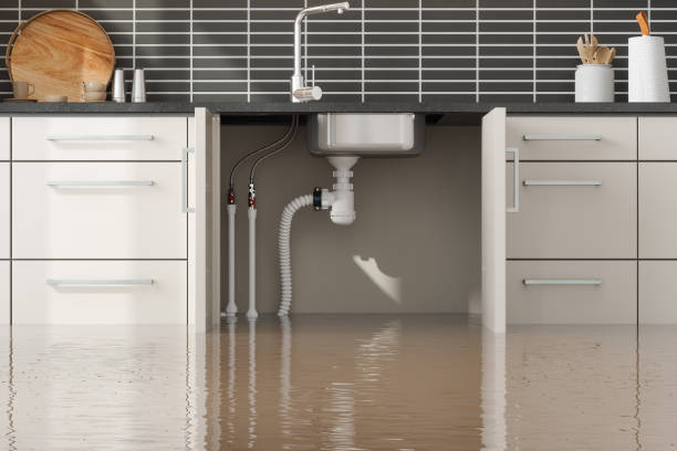 Best Water damage cleanup near me  in Lumberton, TX