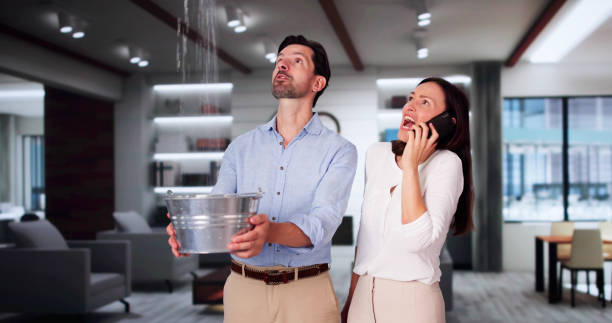 Best Flood damage cleanup  in Lumberton, TX